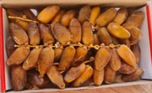 ⁦تمر دقلة نور النخلة الجميلة 1 كيلو⁩ - الصورة ⁦4⁩