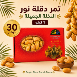 Future Land 1KG 30 AED Offer