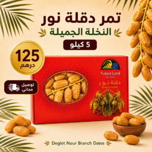 Deglet Nour Branch offer - 5 KG - AED 125 - Free Delivery