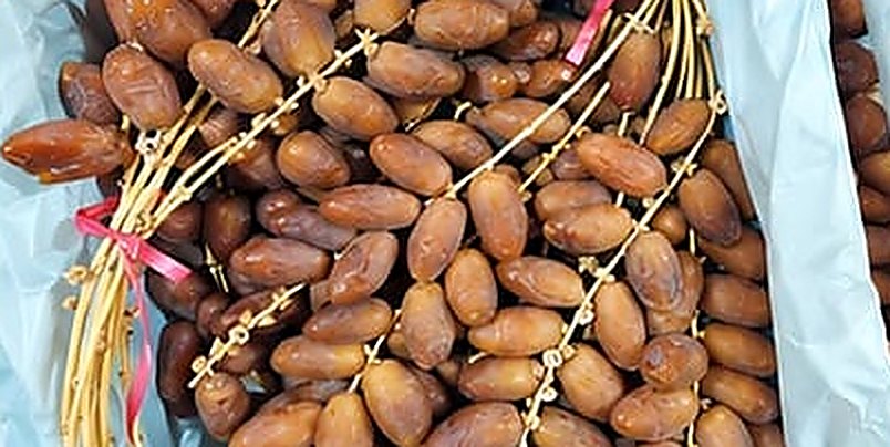 Deglet Nour arjoun super premium full branch