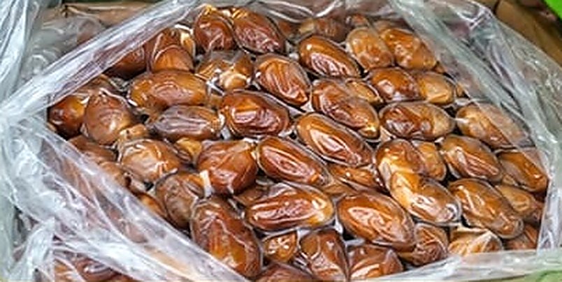 Deglet Nour processor grade dates